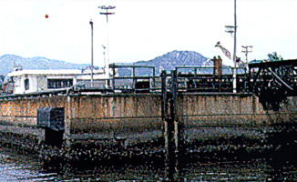 Dolphin Wharf of LG